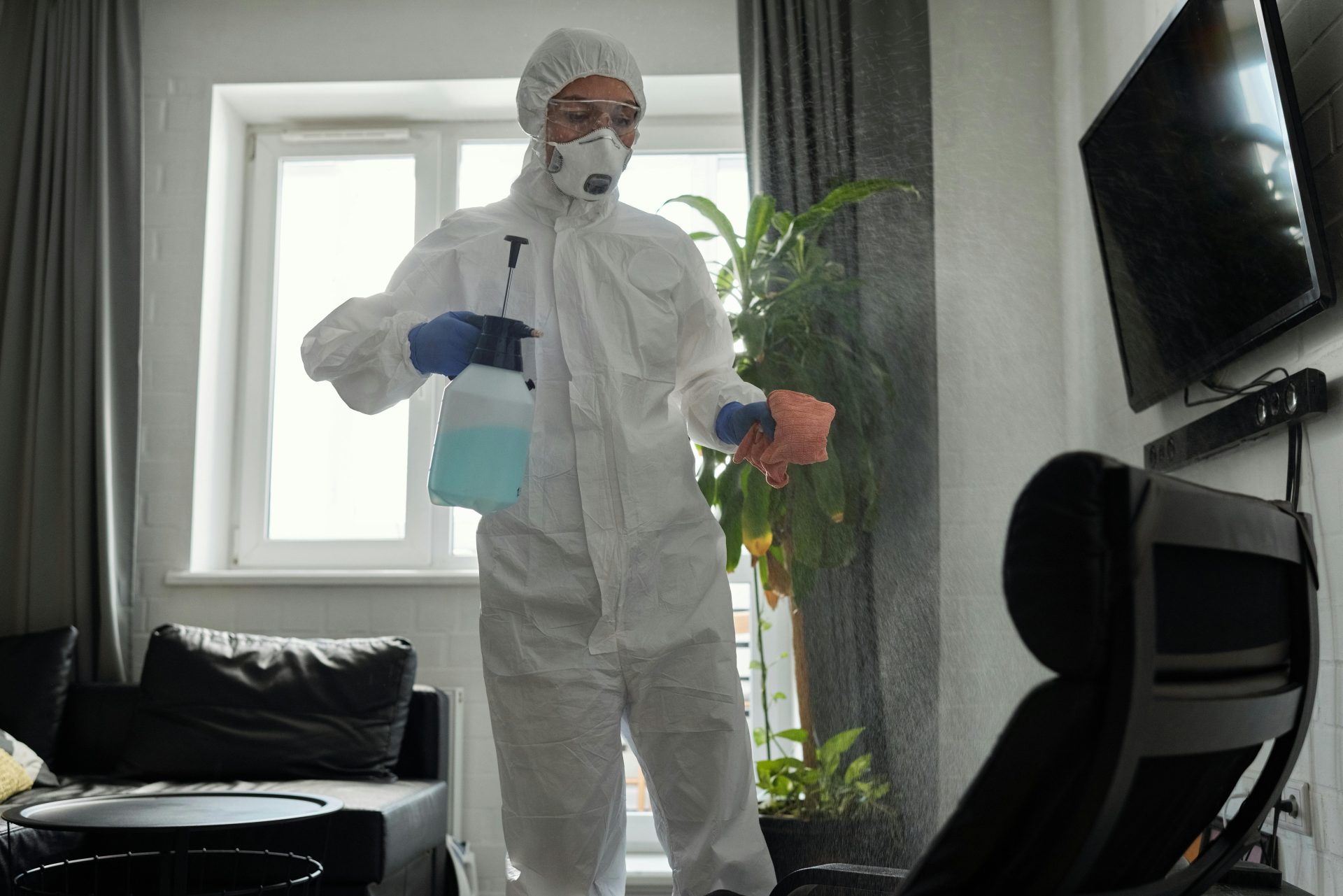 Wassermelonen-Silhouette mit Blatt